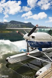aircraft crash nervous shock claim from NYE Dec 2017 Hawkesbury seaplane tragedy